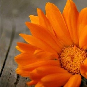 Meet your Posher, Afra